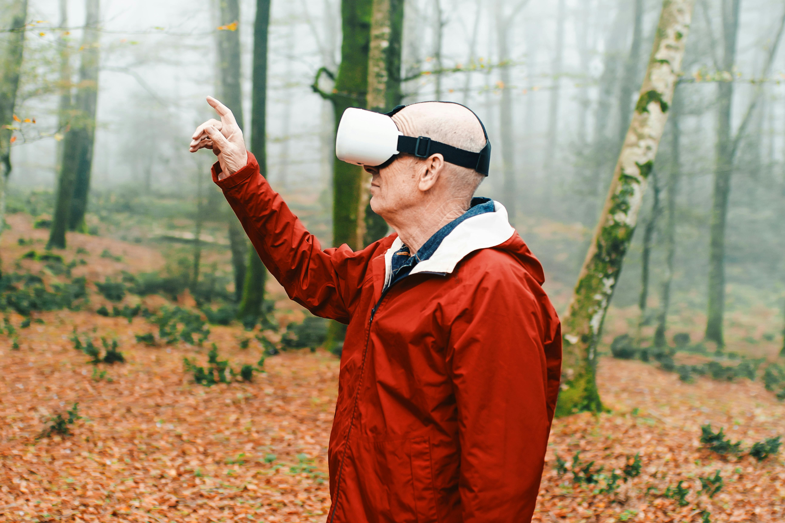 Virtual Cultural Experience